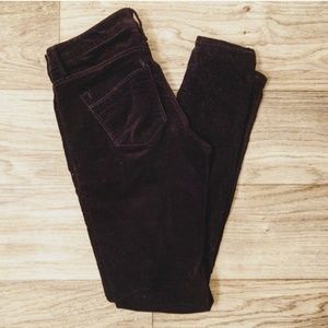 Express velvet pants